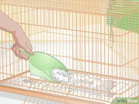 Imagen titulada Clean up After Your Guinea Pig Step 13