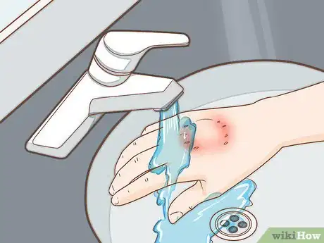 Imagen titulada Spot Rabies in a Dog Step 11