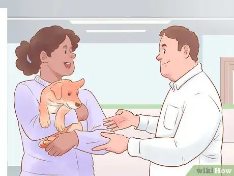 Imagen titulada Choose a Dog Step 17