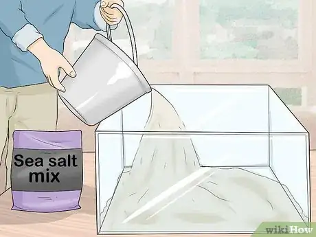 Imagen titulada Clean a Saltwater Tank Step 9