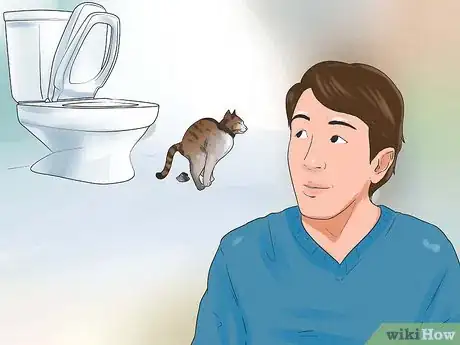 Imagen titulada Toilet Train Your Cat Step 11