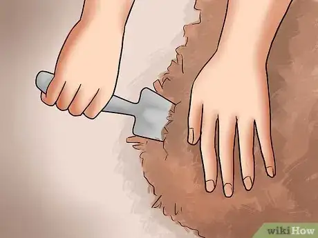 Imagen titulada Care for Azaleas Step 6