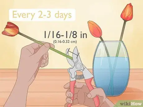 Imagen titulada Prune Tulips Step 9