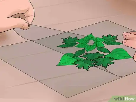Imagen titulada Make a Leaf Collage Step 13
