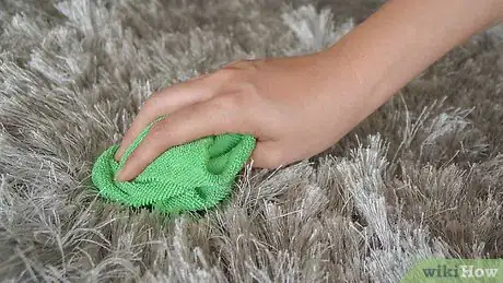 Imagen titulada Clean a Shag Rug Step 9