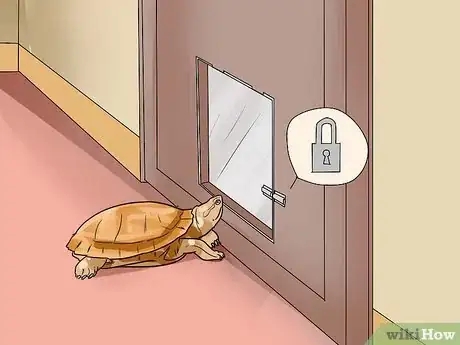 Imagen titulada Find a Turtle Step 8