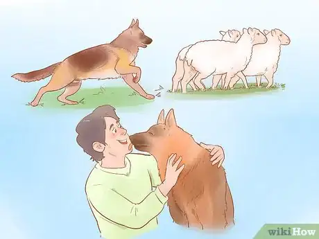 Imagen titulada Choose a German Shepherd Puppy Step 2