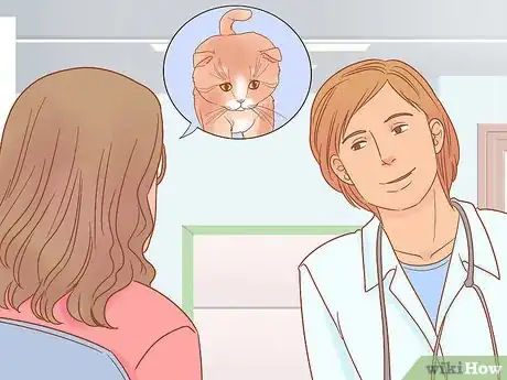 Imagen titulada Take Care of Kittens Step 17