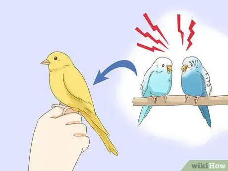 Imagen titulada Calm Down a Bird Step 8