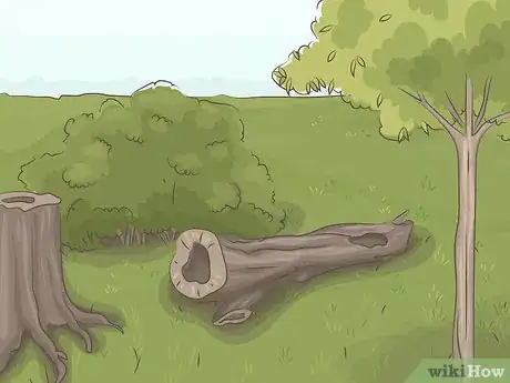 Imagen titulada Make a Bird Nest Step 8