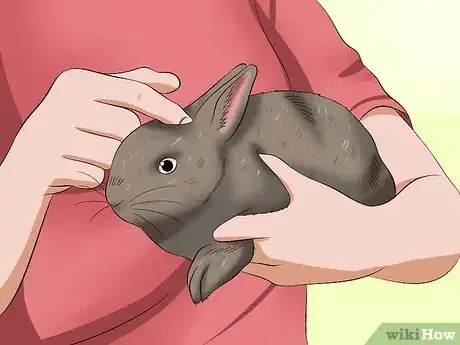 Imagen titulada Calm a Rabbit Step 5