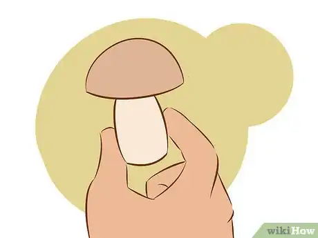 Imagen titulada Grow Edible Mushrooms Step 13
