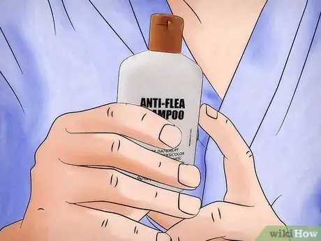 Imagen titulada Get Rid of Fleas on Rats Step 5