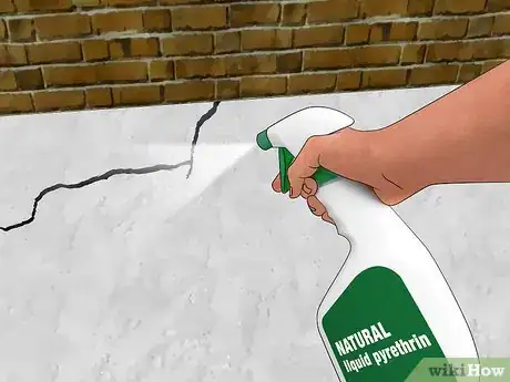 Imagen titulada Get Rid of Silverfish Step 7