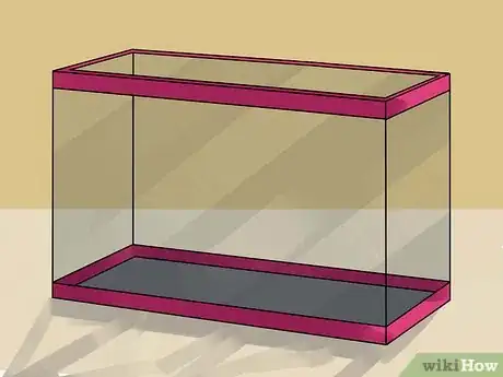 Imagen titulada Care for Your Box Turtle Step 5
