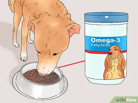 Imagen titulada Build a Dog's Muscles Step 6