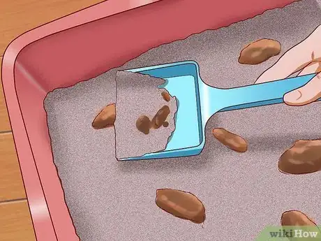 Imagen titulada Cure a Cat of Constipation Step 2