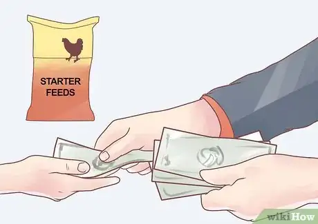 Imagen titulada Feed Chickens Step 3