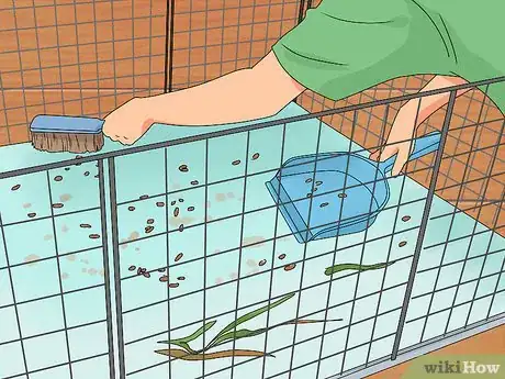 Imagen titulada Keep Your Guinea Pigs Smelling Good Step 1