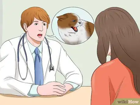 Imagen titulada Care for an FIV Infected Cat Step 18