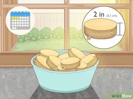 Imagen titulada Grow Potatoes from Potatoes Step 4