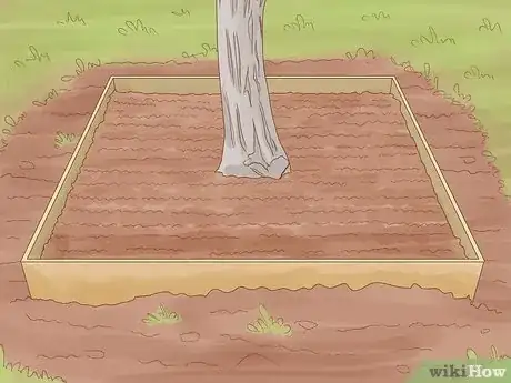 Imagen titulada Create Tree Flower Beds Step 7
