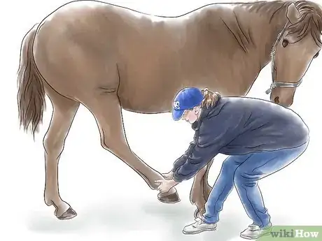 Imagen titulada Stretch a Horse Step 10
