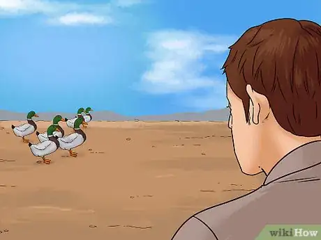 Imagen titulada Catch a Duck Step 12