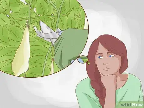 Imagen titulada Prune Wisteria Step 10