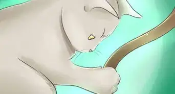 hacer juguetes para gato con elementos comunes del hogar