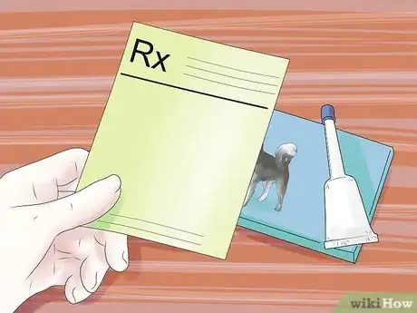 Imagen titulada Help Your Dog During a Seizure Step 11