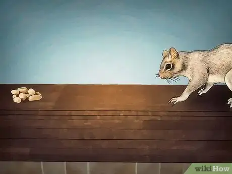 Imagen titulada Catch a Squirrel Step 5