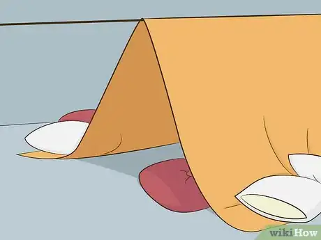 Imagen titulada Create an Indoor Tent Step 2
