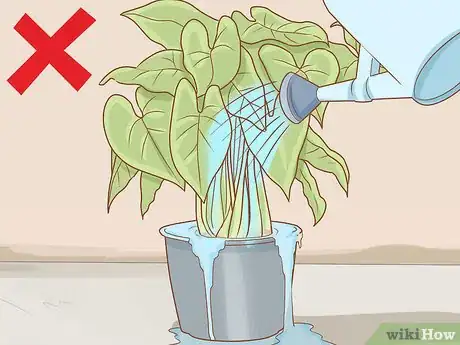 Imagen titulada Get Rid of Powdery Mildew on Plants Step 16