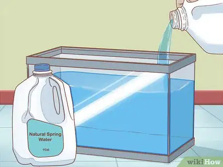 Imagen titulada Care for Triops Step 1