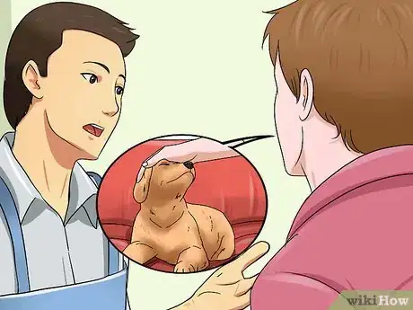 Imagen titulada Choose a Healthy Puppy Step 8
