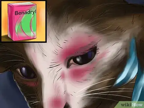Imagen titulada Treat a Bee Sting on a Cat Step 8