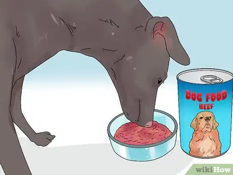 Imagen titulada Build a Dog's Muscles Step 5