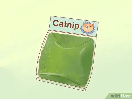 Imagen titulada Stop Your Cat from Attacking Your Dog Step 8