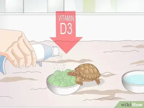 Imagen titulada Take Care of a Baby Tortoise Step 9