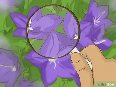 Imagen titulada Meditate for Self Discovery Step 16
