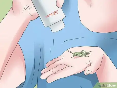 Imagen titulada Feed a Lizard Step 5