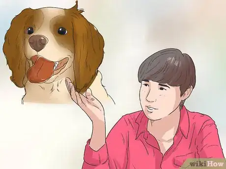 Imagen titulada Train Your Dog to Use a Dog Door Step 12