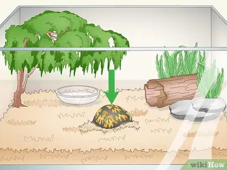 Imagen titulada Care for an Eastern Box Turtle Step 19