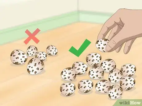 Imagen titulada Hatch Quail Chicks Step 3