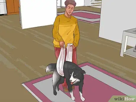 Imagen titulada Help a Female Dog Who Is Injured Urinate Step 3