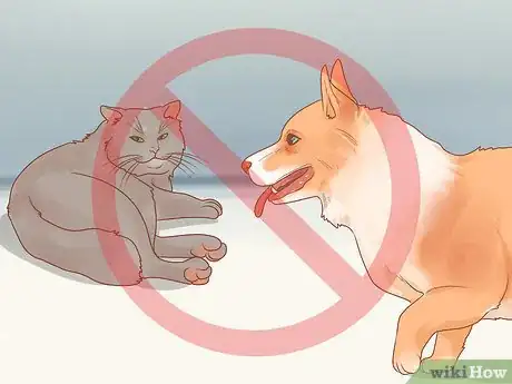 Imagen titulada Stop Your Cat from Attacking Your Dog Step 5