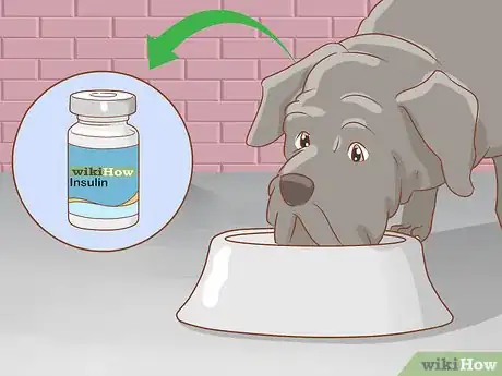 Imagen titulada Give an Insulin Shot to Dogs Step 5