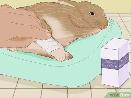 Imagen titulada Care for an Injured Rabbit Step 8