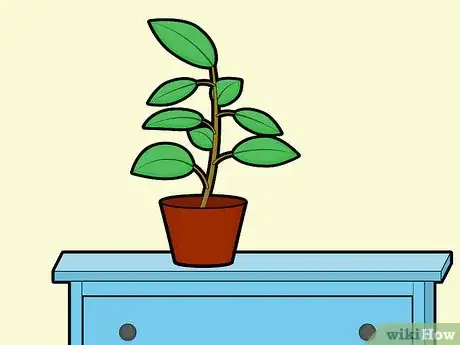 Imagen titulada Humidify Your Room Step 11